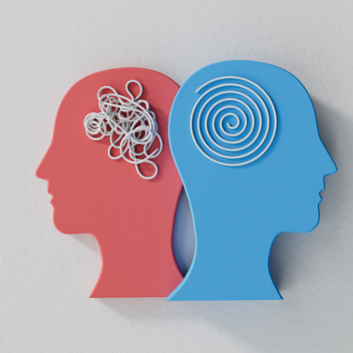 Book Club: Psychology 101